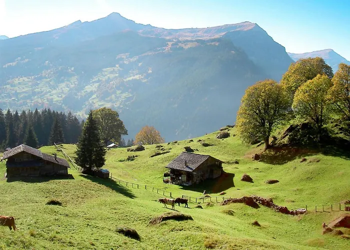 Apartamento Shangri La By Interhome Grindelwald