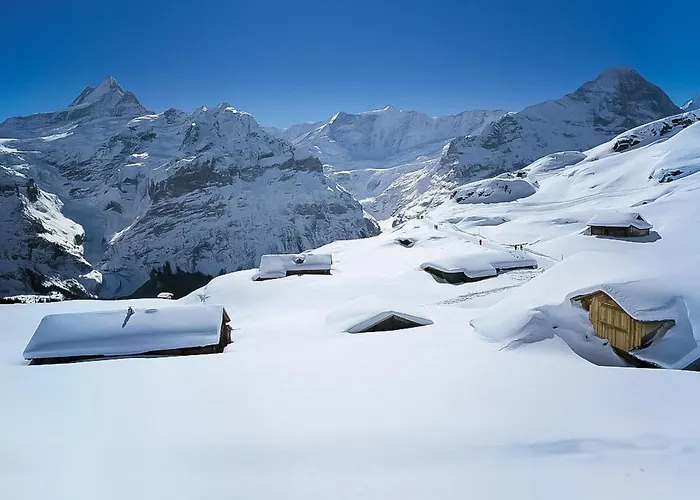 Apartamento Shangri La By Interhome Grindelwald