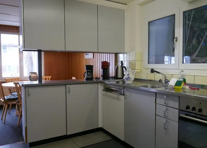 Lejlighed Shangri La By Interhome Grindelwald